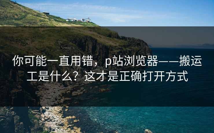你可能一直用错，p站浏览器——搬运工是什么？这才是正确打开方式